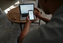 pornocaricoca stock growth