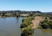 a2movies malayalam film collection