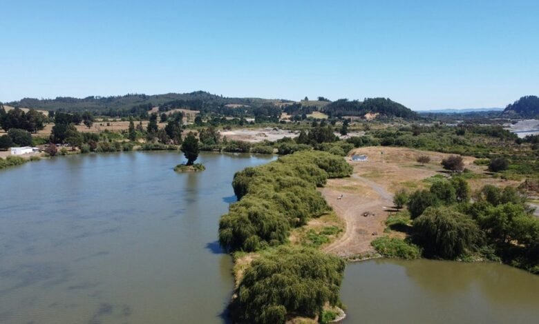 a2movies malayalam film collection