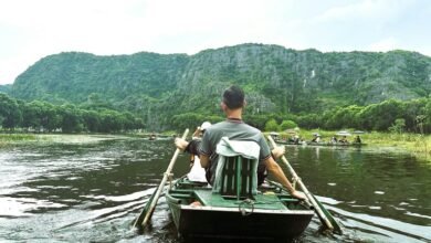 advantage tvs login guide