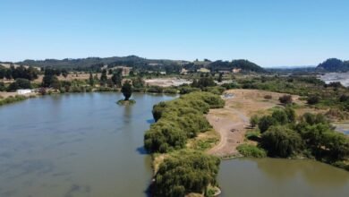 advantage tvs official website