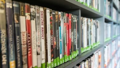 boy videos entertainment library