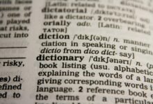 ip address reference information