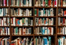 ip reference guidelines overview