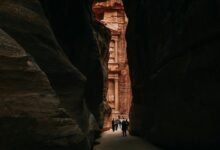 latest content discovery platform