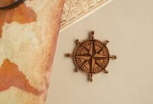 latest updates on ynrmsmam