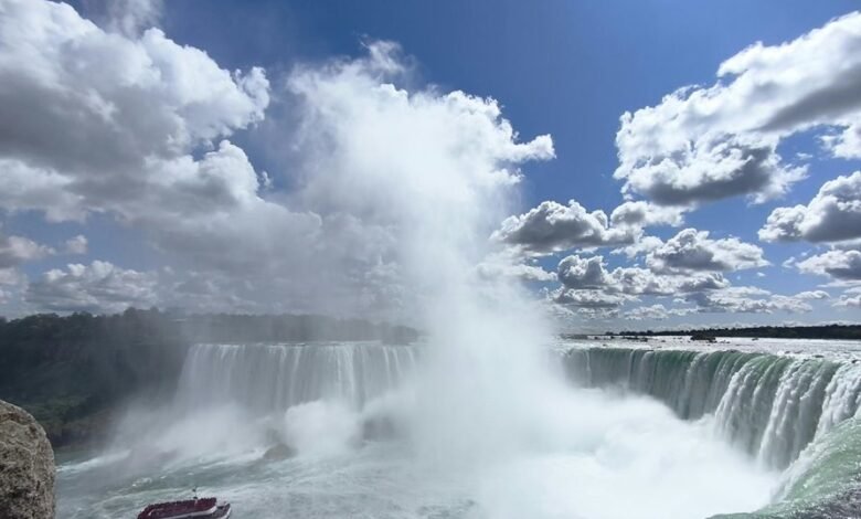 torrent and magnet downloads