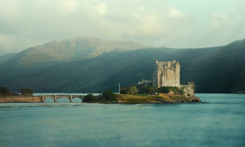 your movie streaming hub